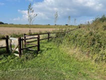 Ter Wal woonzorg - omgeving landgoed