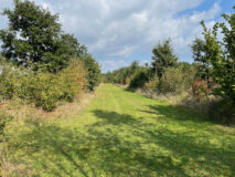 Ter Wal woonzorg - Omgeving Bergen op Zoom