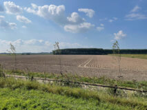 Ter Wal Woonzorg omgeving Bergen op Zoom